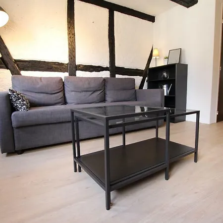 Old City Center - Cosy Tanneurs 2 * Colmar